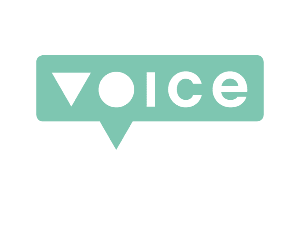 voice